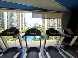 Sol Acres (D23), Condominium #558399951